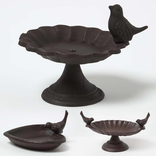Bird bath feeder - bird,