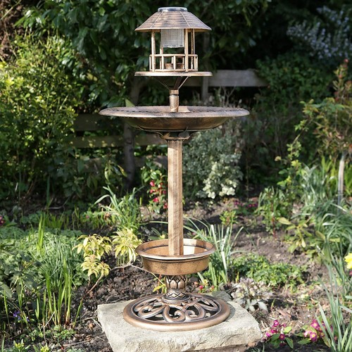 Garden bird bath feeding - bird,