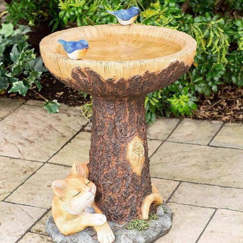 Bird bath feeder - &,