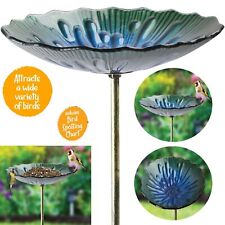🔥NEW Glass Bird Bath Feeder
