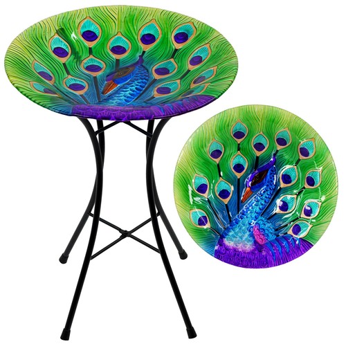 Garden bird bath peacock - bird,