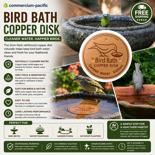 Copper bird bath purification - bird,